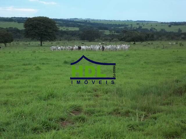 Venda em Zona Rural - Hidrolândia