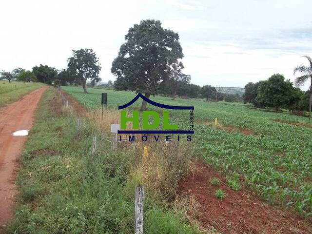 Fazenda para Venda em Hidrolândia - 5