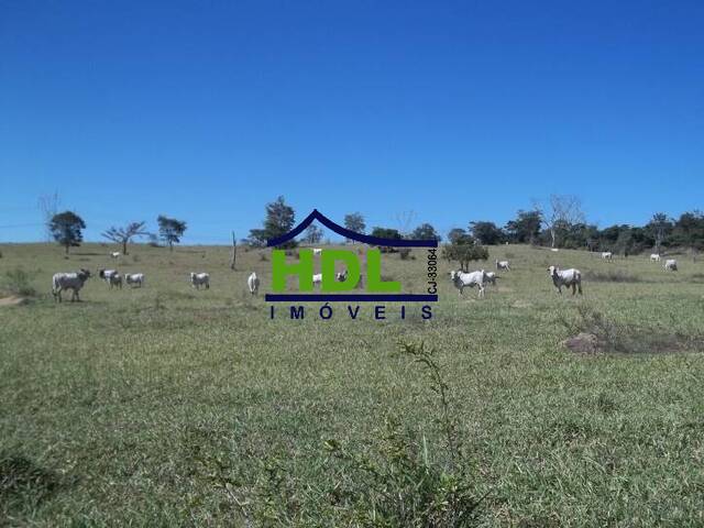 Fazenda para Venda em Professor Jamil - 4