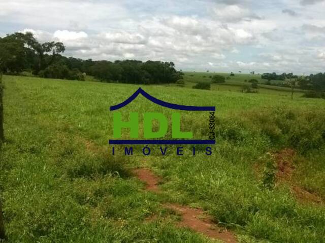 Fazenda para Venda em Piracanjuba - 4