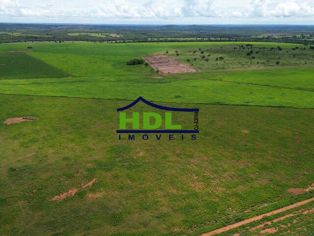 Fazenda para Venda em Nova Xavantina - 4