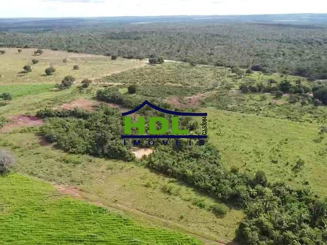 Fazenda para Venda em Araguaína - 4