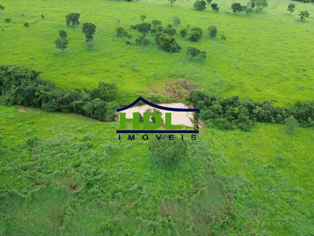 Locação em Zona Rural - Hidrolândia