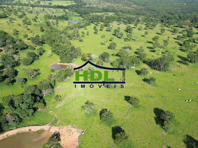 Fazenda para Venda em Cromínia - 4