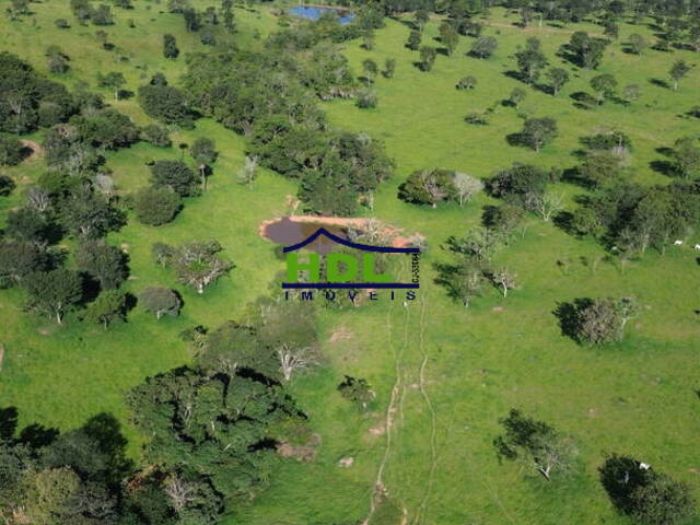 Fazenda para Venda em Cromínia - 5