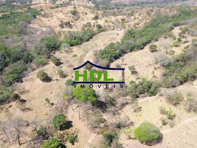 Fazenda para Venda em Hidrolândia - 4