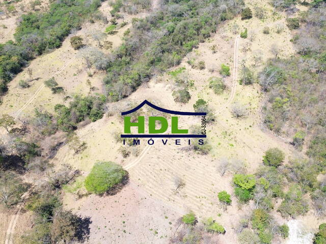 Fazenda para Venda em Hidrolândia - 5