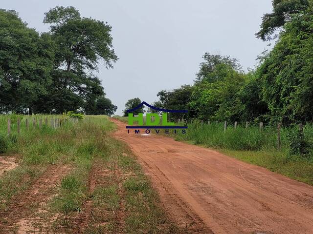 Fazenda para Venda em Araguaiana - 5
