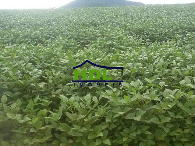 Fazenda para Venda em Confresa - 5