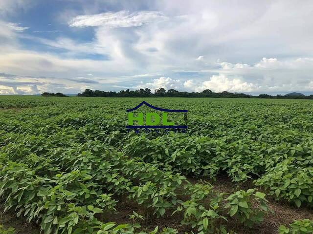 Fazenda para Venda em Confresa - 4