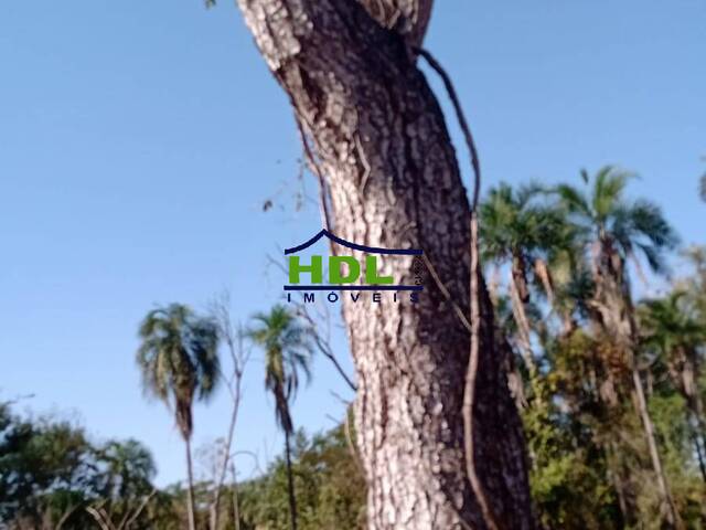 Fazenda para Venda em Coxim - 4