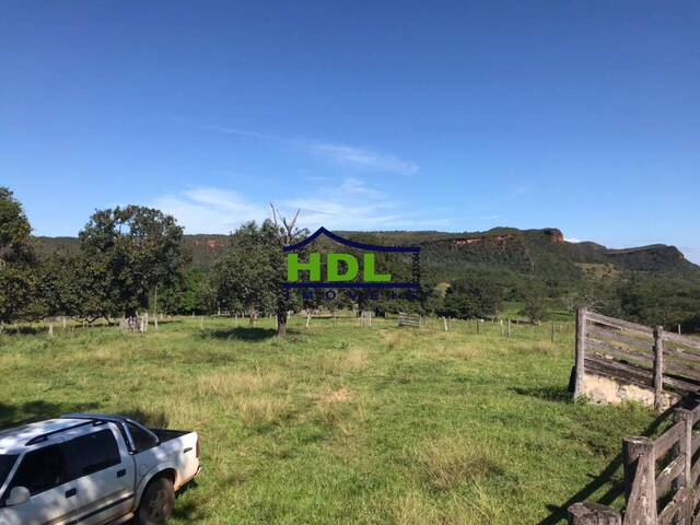 Fazenda para Venda em Tesouro - 5