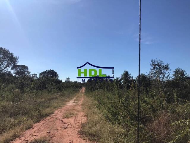 Fazenda para Venda em Tesouro - 4