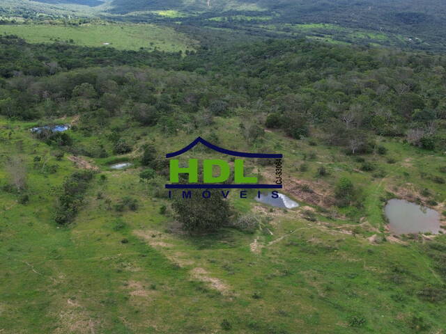 Fazenda para Venda em São Miguel do Passa Quatro - 5