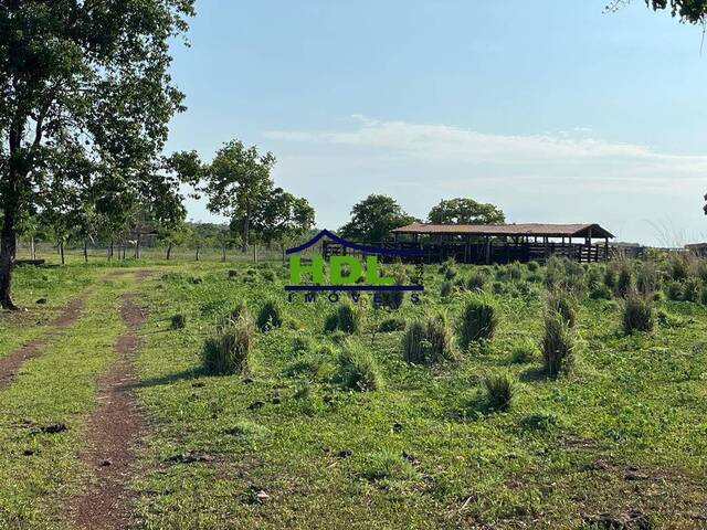 Fazenda para Venda em Natividade - 4