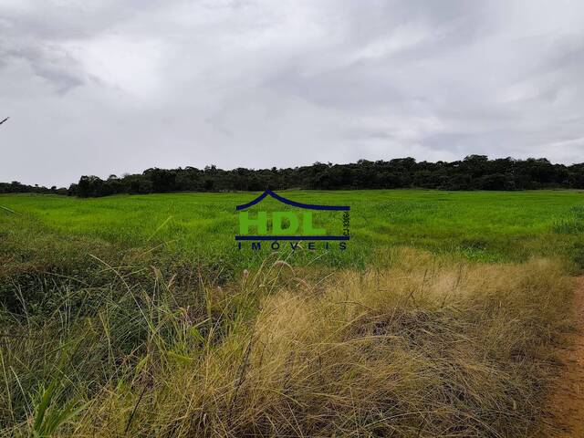 Fazenda para Venda em Cromínia - 4