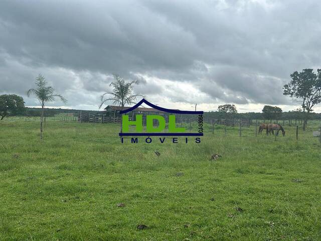 Fazenda para Venda em Natividade - 4