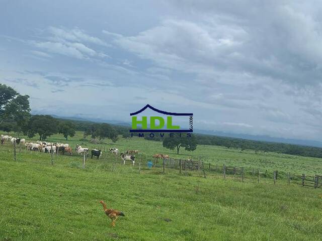 #FZ-285 - Fazenda para Venda em Natividade - TO