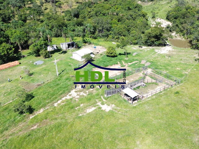 #FZ-286 - Fazenda para Venda em Silvânia - GO