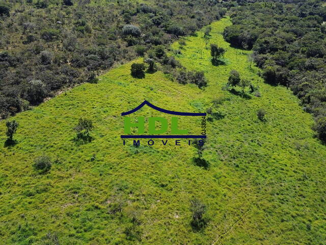 #FZ-286 - Fazenda para Venda em Silvânia - GO