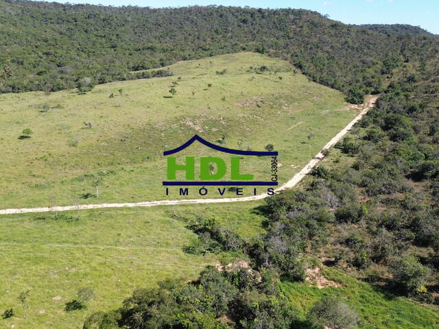 #FZ-286 - Fazenda para Venda em Silvânia - GO