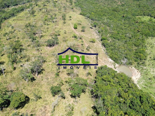 Fazenda para Venda em Silvânia - 4