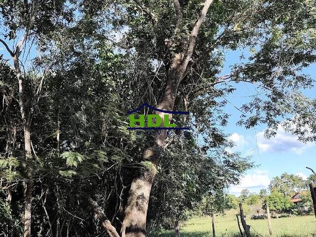 #CH-288 - Chácara para Venda em São Miguel do Passa Quatro - GO
