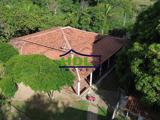 Sede