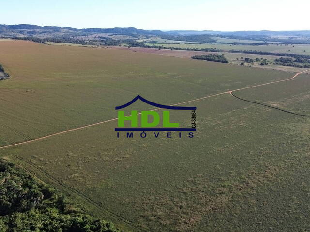 ÁREA DE LAVOURA 155 Ha