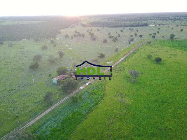 Fazenda para Venda em Cocalinho - 4