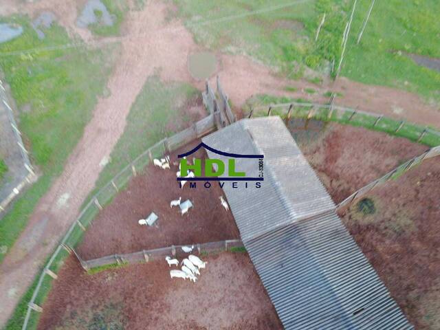 #FZ-300 - Fazenda para Venda em Cocalinho - MT - 1