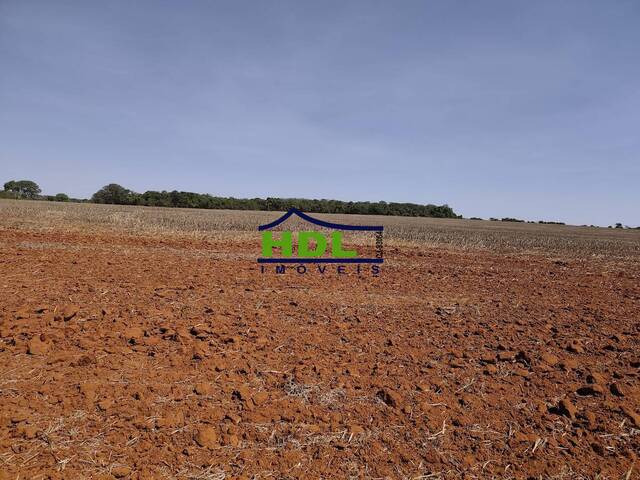 Fazenda para Venda em Piracanjuba - 5