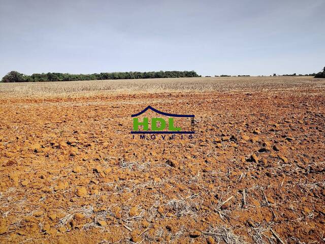 #FZ-311 - Fazenda para Venda em Piracanjuba - GO - 3