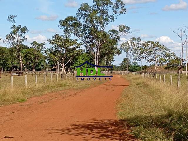 #FZ-312 - Chácara para Venda em Araguaiana - MT - 3