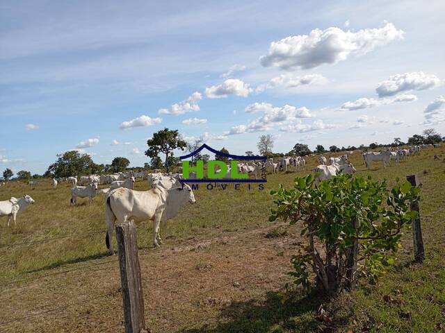 Fazenda para Venda em Araguaiana - 5