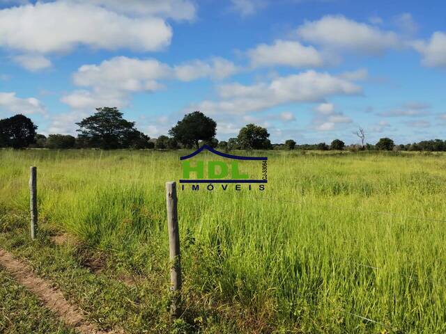 Fazenda para Venda em Cocalinho - 5