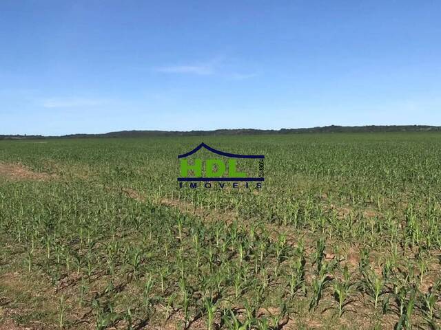#FZ-317 - Fazenda para Venda em Canarana - MT - 2