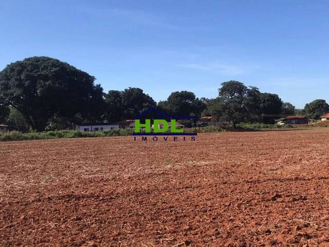 #FZ-317 - Fazenda para Venda em Canarana - MT - 1