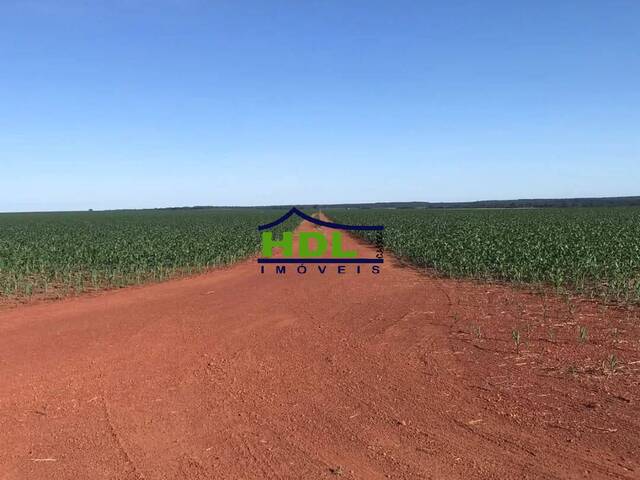 Fazenda para Venda em Canarana - 5