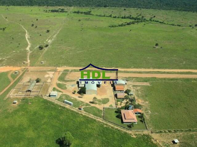 Fazenda para Venda em Cumaru do Norte - 5