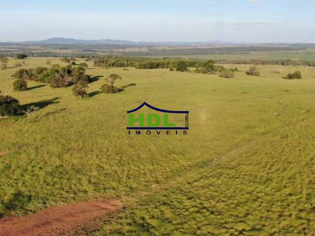 #FZ-321 - Fazenda para Venda em Doverlândia - GO - 2