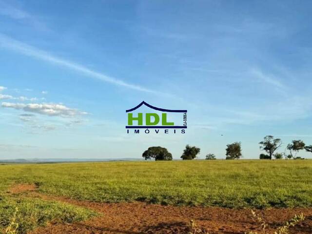 #FZ-321 - Fazenda para Venda em Doverlândia - GO - 3