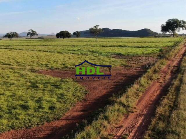 Fazenda para Venda em Doverlândia - 5