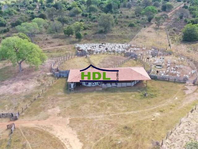 #FZ-323 - Fazenda para Venda em Cocalinho - MT - 2
