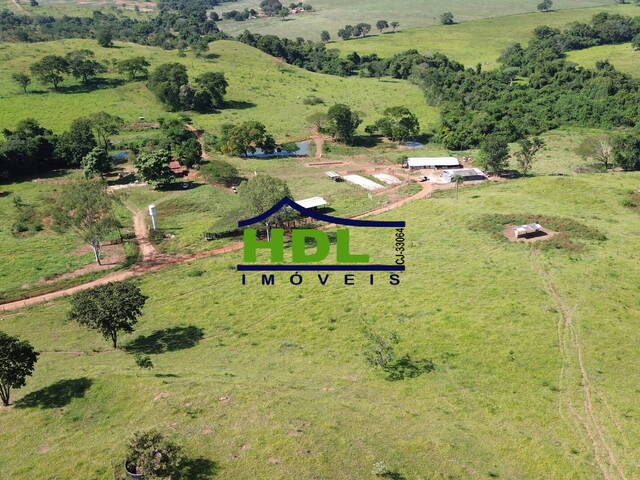 #FZ-346 - Fazenda para Venda em Santa Cruz de Goiás - GO
