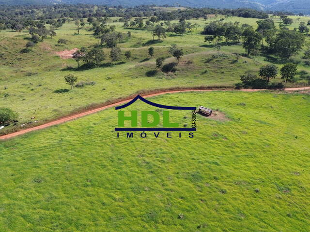 Fazenda para Venda em Santa Cruz de Goiás - 4