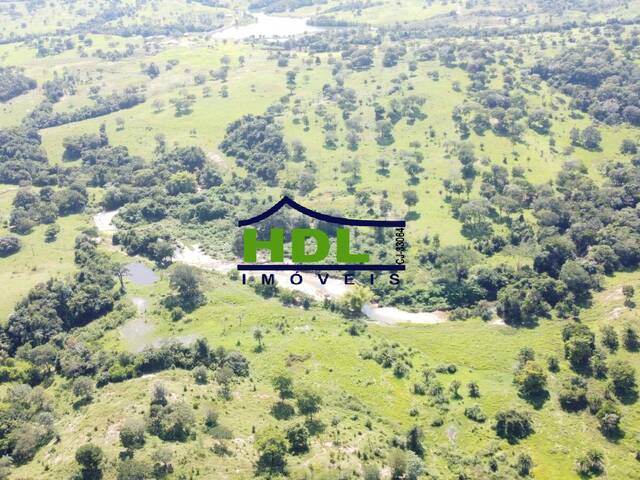 #FZ-343 - Fazenda para Venda em Goiás - GO