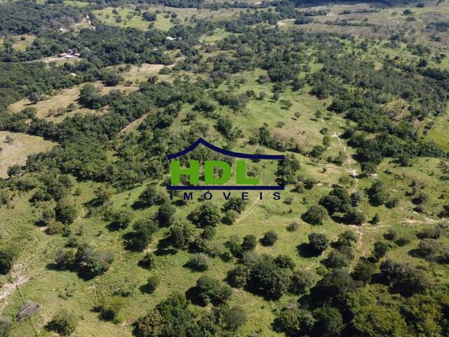 #FZ-343 - Fazenda para Venda em Goiás - GO