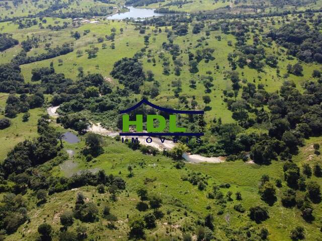 Fazenda para Venda em Goiás - 4