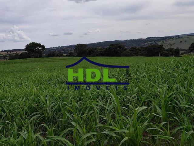 Fazenda para Venda em Cristianópolis - 5